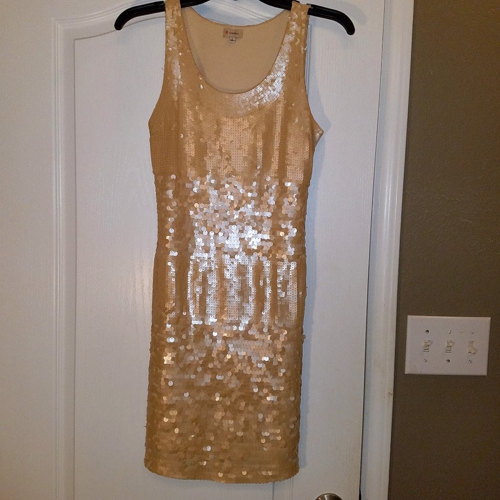 Cremieux Sequined Dress S NWOT